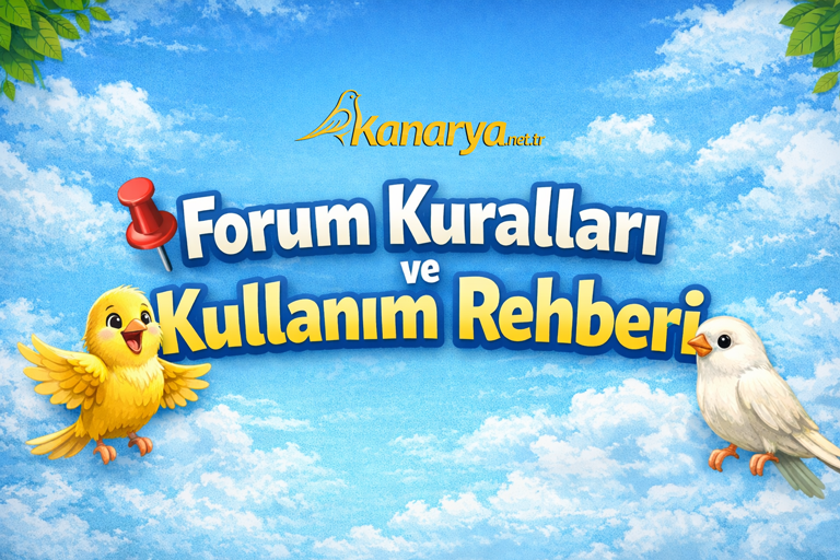 kanarya.net.trforumkurallari.png