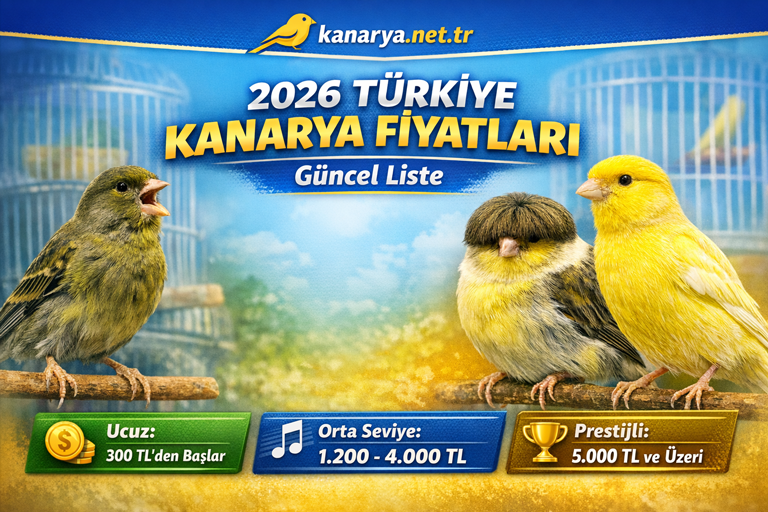 kanaryafiyatlari2026kanarya.net.png