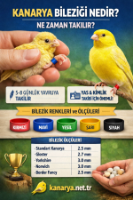 kanaryabilezigikanarya.net.tr.png